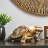 Tafari Tortoise Table Lamp